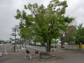 須磨海浜公園