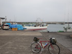 青島漁港