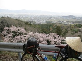 吉野川市街の眺望